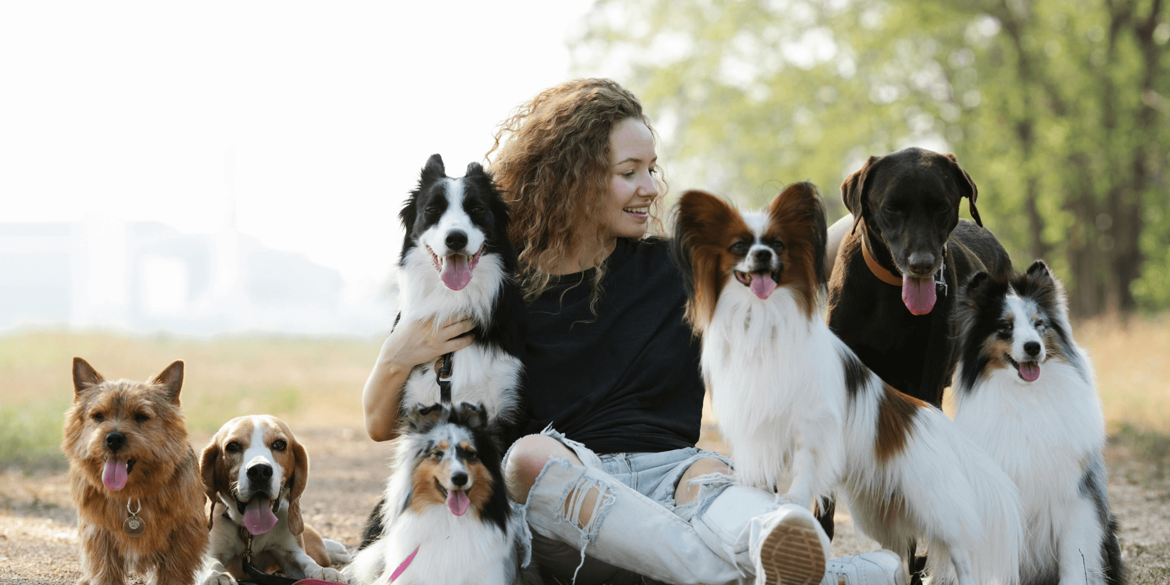 Happy pets with their sitter